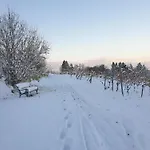 Bioweingut Hauerhof 99 -apartment 4 Клостернойбург