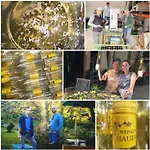 Bioweingut Hauerhof 99 -apartment 4 Апартаменты Клостернойбург