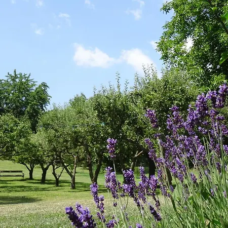 Bioweingut Hauerhof 99 -apartment 4 Apartment Klosterneuburg