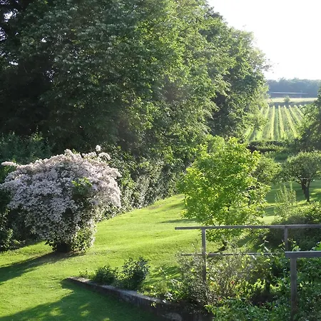 Apartment Bioweingut Hauerhof 99 -apartment 4 *