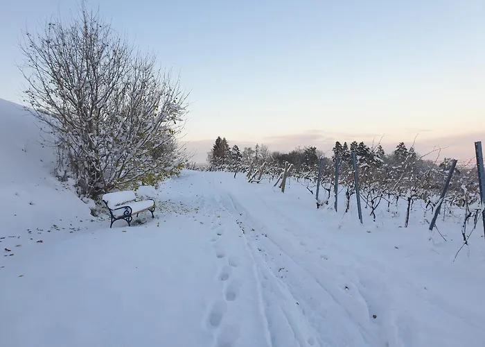 Bioweingut Hauerhof 99 -apartment 4 Klosterneuburg