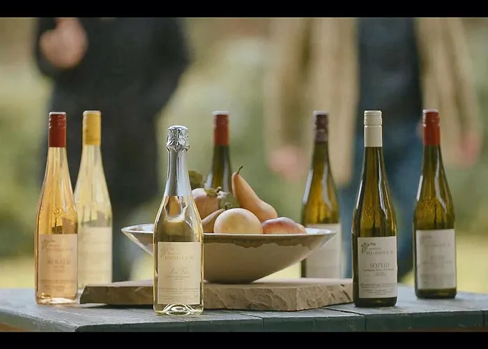 Bioweingut Hauerhof 99 -apartment 4 *