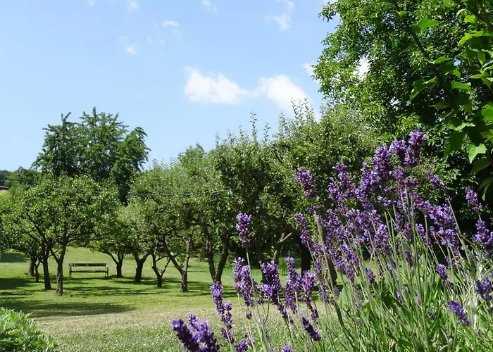 Bioweingut Hauerhof 99 -apartment 4 Lägenhet Klosterneuburg