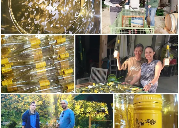 Bioweingut Hauerhof 99 -apartment 4 Lägenhet Klosterneuburg