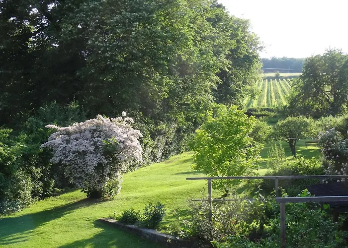 Lägenhet Bioweingut Hauerhof 99 -apartment 4 *